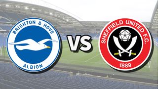 Brighton vs Sheffield United