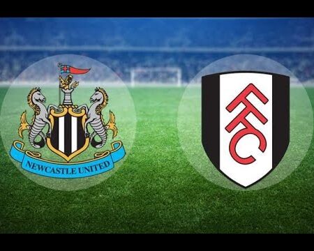 Newcastle contro Fulham 