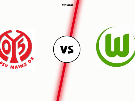 Mainz gegen Wolfsburg