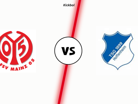 Mainz gegen Hoffenheim