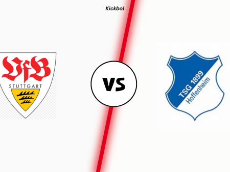 VfB Stuttgart gegen Hoffenheim