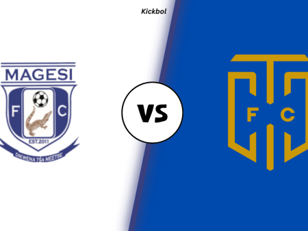 Magesi FC vs Cape Town City