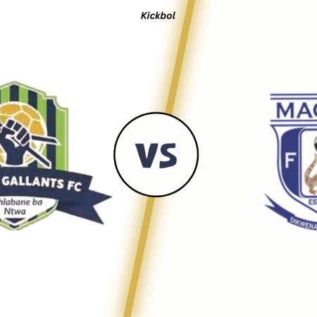 Marumo Gallants vs Magesi FC